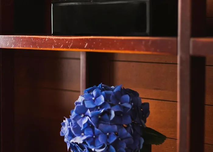 דירה Queen #2 Apartment, Wawel View, Old Town,